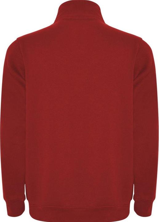Actual product image Alpinia Mens Aneto Quarter Zip Sweatshirt (M)