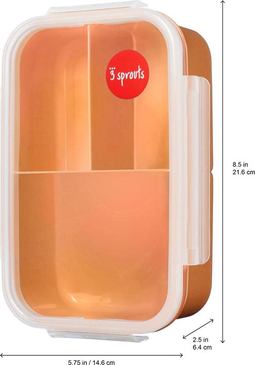 Actual product image 3 Sprouts lunch box