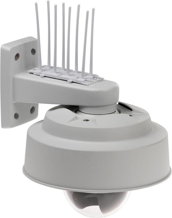 Produktbild Axis Bird Control Spike (Schutzfolie)