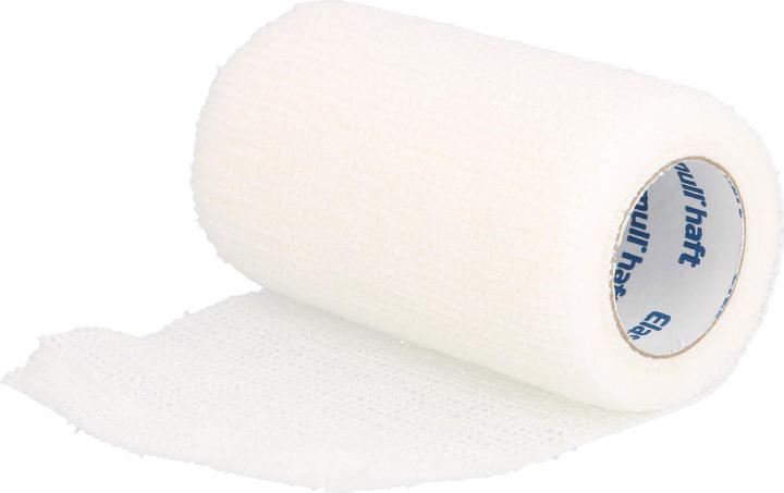 Image du produit BSN Bandage de fixation élastique cohésif Elastomull haft