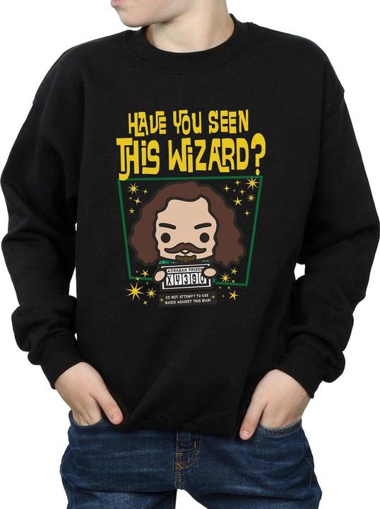 Image du produit - Sweat SIRIUS BLACK AZKABAN JUNIOR - Garçon (140, 146)