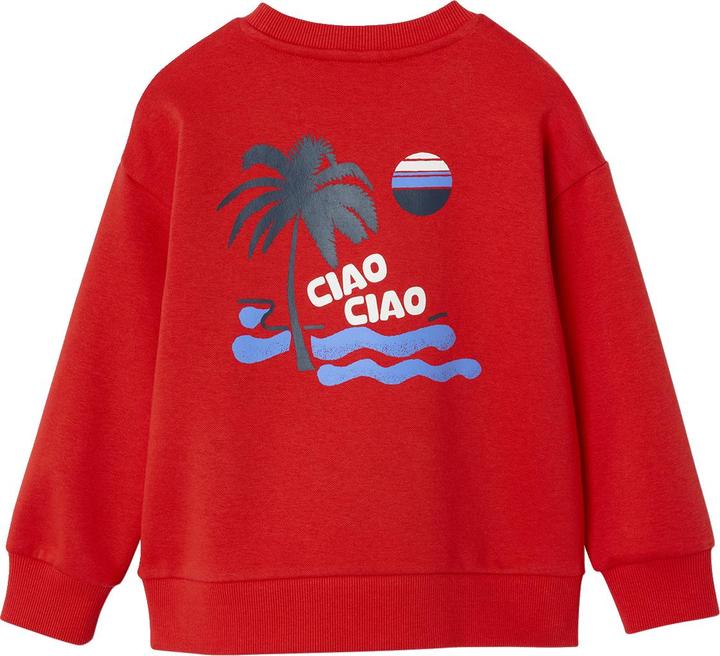 Immagine prodotto Vertbaudet Jungen Sweatshirt mit Urlaubsmotiv hinten, Recycling-Polyester (140)