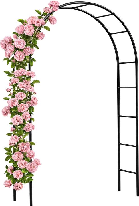 Produktbild Deuba Rosenbogen (240 cm, 140 cm)
