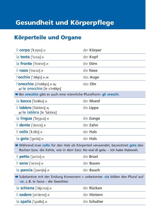 Actual product image Langenscheidt Grundwortschatz Italienisch (German, Italian, 2023)