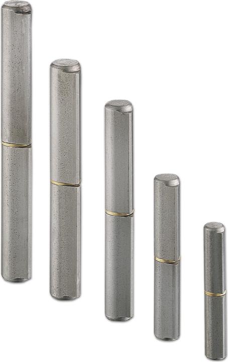 Produktbild Charmag Bandrolle (Scharnier) Türband ø 16x100 mm mit Zwischenring Stahl blank
