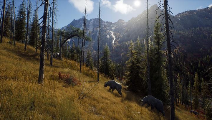 Image du produit THQ Way of the Hunter (PS5, EN, FR, IT)