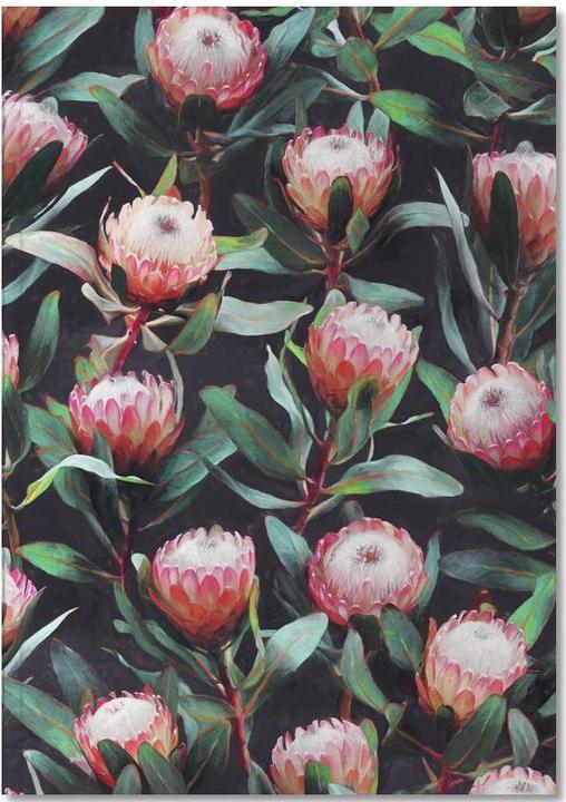 Immagine prodotto Juniqe Serata Protea modello di colore (A5, Nessuna)
