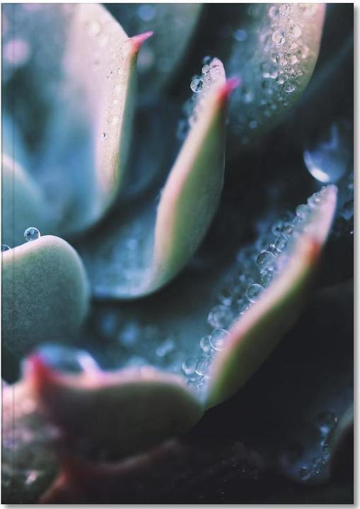 Actual product image Juniqe There's Glory in the Details - Leaves & Plants (A5, Lined, Hardcover)