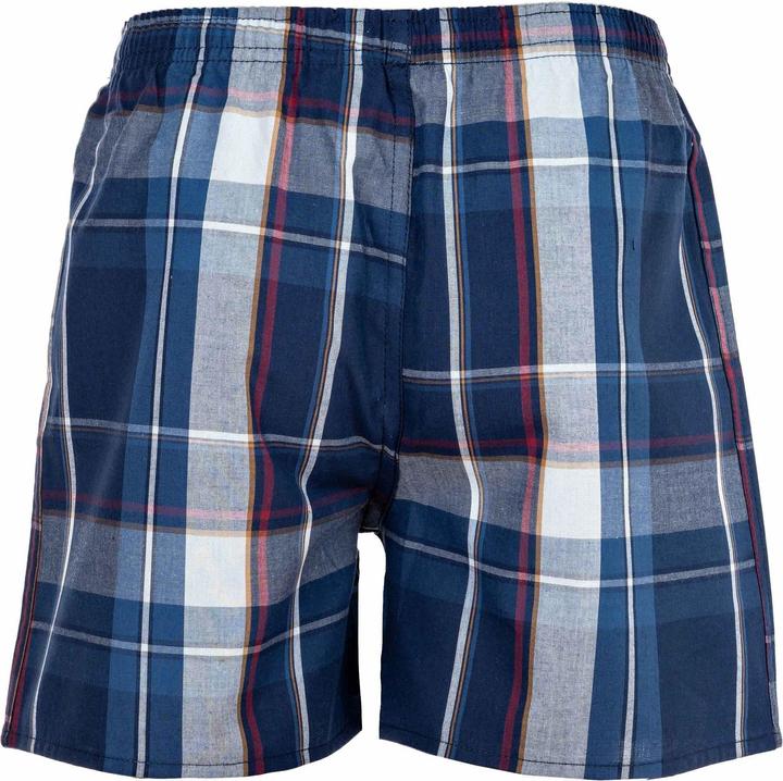 Image du produit Your Basics Boxers tissés Casual Coupe ample (188, paquet de 7)