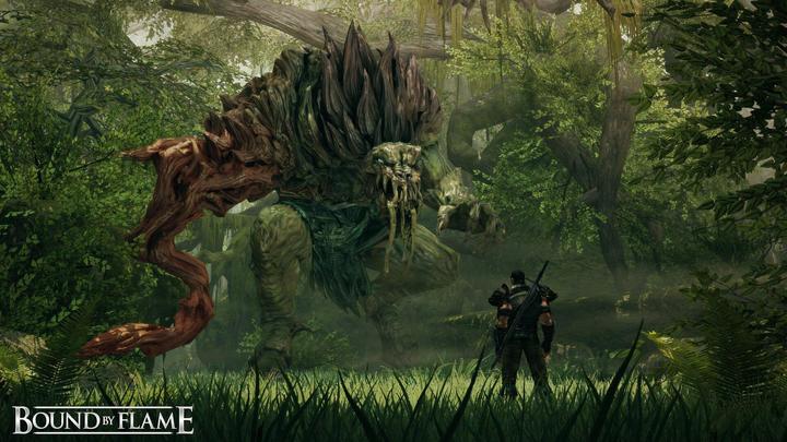 Focus Home Interactive Bound by Flame (PC)