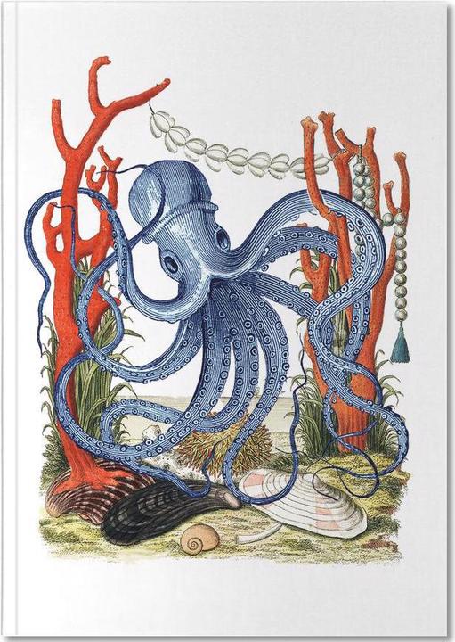Image du produit Juniqe Octopus House - Pieuvres (A5, À rayures)
