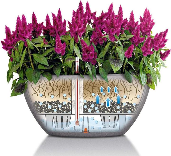 Produktbild Lechuza Cubeto Color (30 cm)