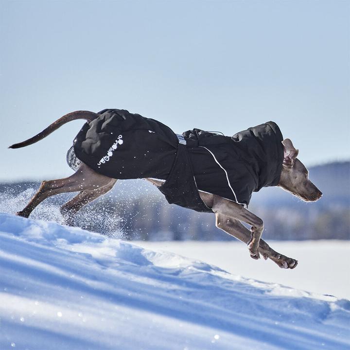 Actual product image Hurtta Extreme Warmer V3 Eco Blue, 55 cm (55, Dog coat)