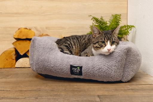 Immagine prodotto Beeztees Nox (Gatto)