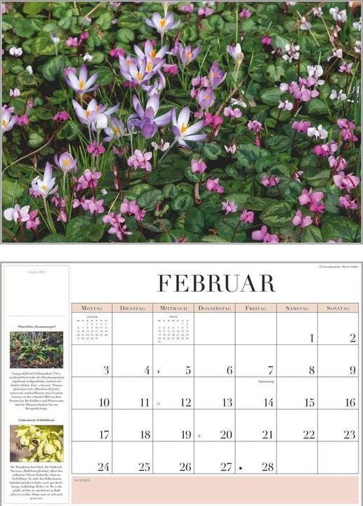 Produktbild Garten-Kalender 2026 - Broschürenkalender - mit informativen Texten - mit Jahresplaner - Format 42 (42 x 29 cm, Harter Einband, Deutsch)