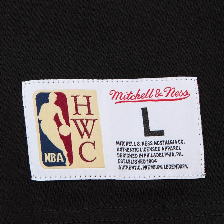 Actual product image Mitchell & Ness Longsleeve - PATCHES Los Angeles Lakers (L)