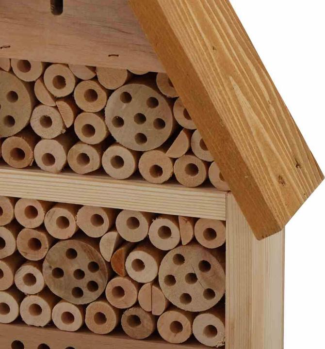 Productafbeelding Siena Garden Insectenhotel (Vlinders, Bij)