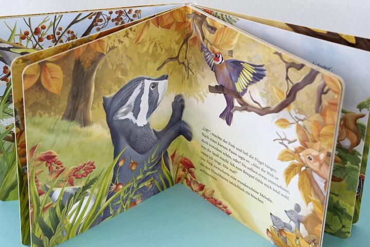 Produktbild Kopf hoch, kleiner Waschbär – ein Bilderbuch für Kinder ab 2 Jahren (Deutsch, Lea Kässmann, 2021)