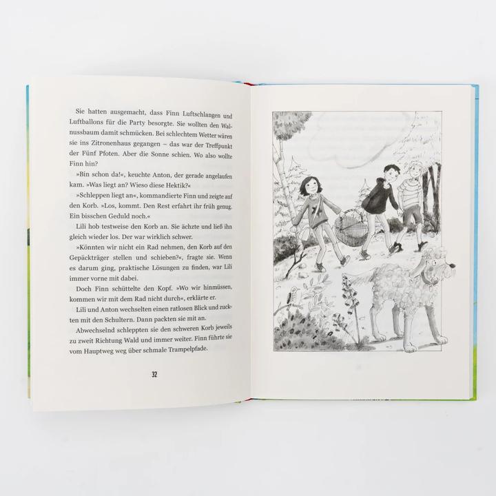 Image du produit Internat Schloss Sommerberg - Fünf Pfoten und der geheimnisvolle Steinbruch (Allemand, Susanne Oswald, 2023)