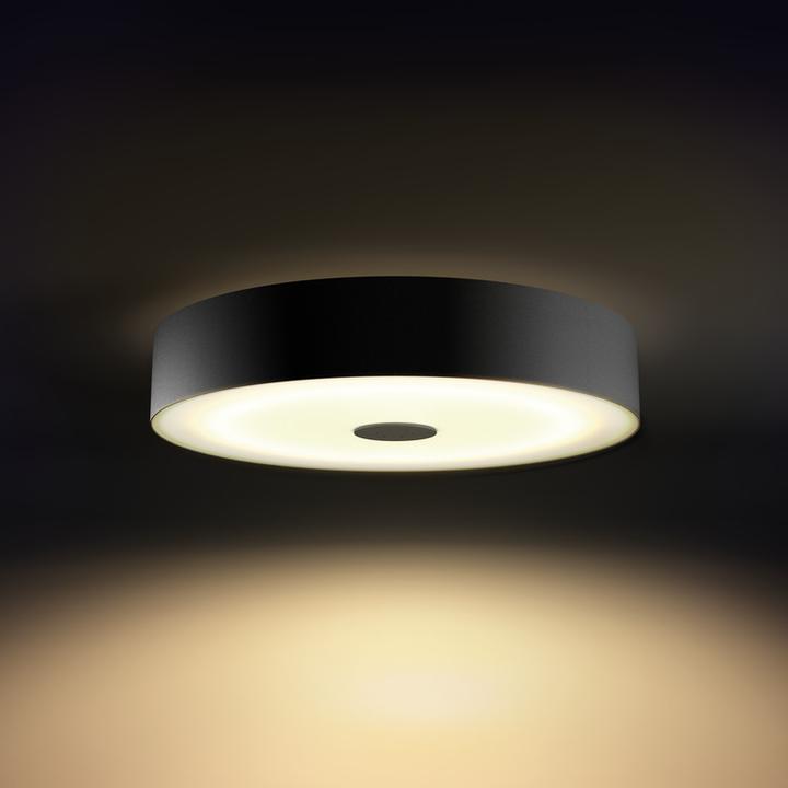 Actual product image Philips Hue Fair Basis BT (3000 lm)
