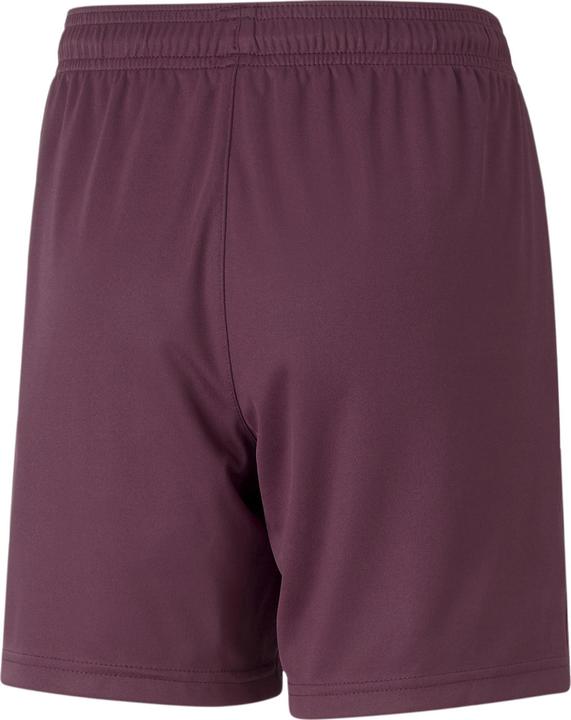Image du produit Puma teamLIGA Shorts Jr (128)