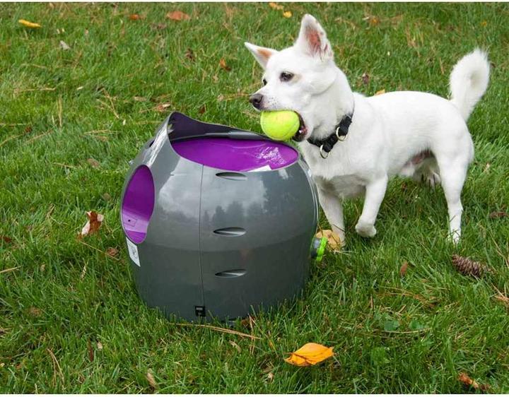Produktbild PetSafe Ballwerfer (Ballspielzeug Hund)