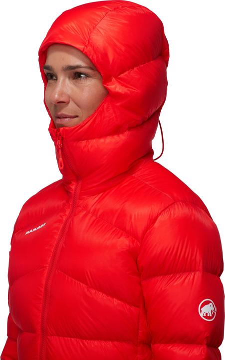 Image du produit Mammut Sweat à capuche Taiss Pro In (M)