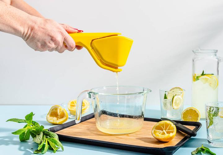 Actual product image DreamFarm Fluicer Saftpresse Lemon