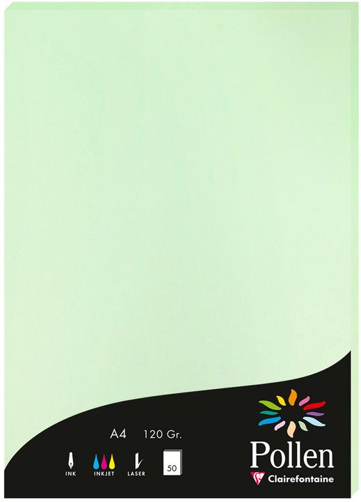 Produktbild Pollen Papier (120 g/m², 1 x)