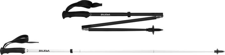 Salewa Pedroc Carbonium