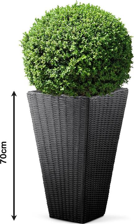 Actual product image Casaria Flowerpot (40 cm)