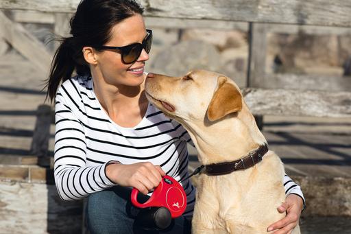 Image du produit Flexi Nouvelle corde classique (S, Chien, Promenade)