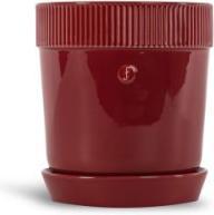 Sagaform Vaso per erbe Elise bordeaux, D14 H15
