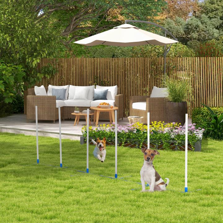 Produktbild PawHut Hundetrainigsset inkl. Tasche (Agility)