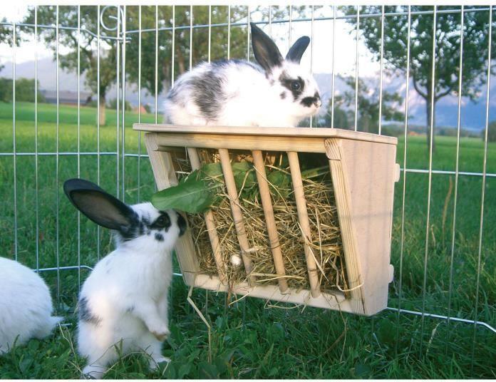 Actual product image Kerbl Hay rack