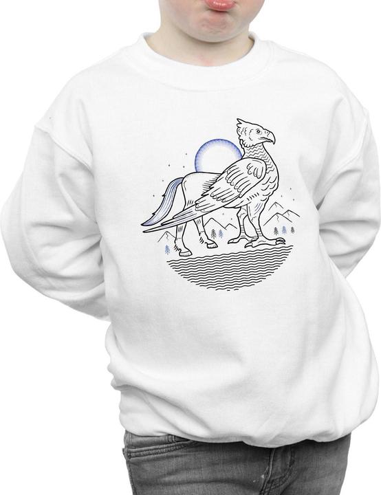 Actual product image Boys Buckbeak Line Art Sweatshirt (152, 158)