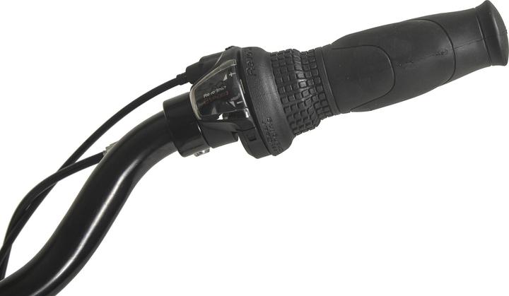 Produktbild Hollandia Hollandrad Damen 28" City Next RH 50 cm 6 Gänge (50 cm)