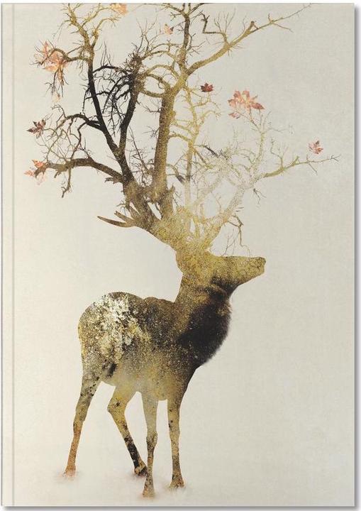 Image du produit Juniqe Autumn - Cerfs (A5, À rayures)