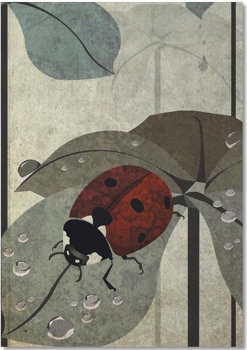 Immagine prodotto Juniqe Marienkäfer - Coccinelle (A5, Punteggiato)