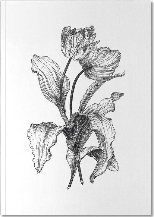 Produktbild Juniqe Tulpen-Bleistiftskizze (A5, Liniert, Harter Einband)