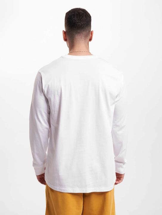 Actual product image Levis Relaxed Graphic Longsleeve - 64313 (M)