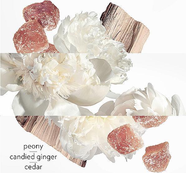 Actual product image Hermès Eau Ginger Eau de Parfum (Eau de parfum, 50 ml)