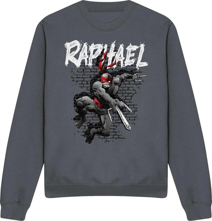 Image du produit Teenage Mutant NT - Sweat - Adulte (XXL)