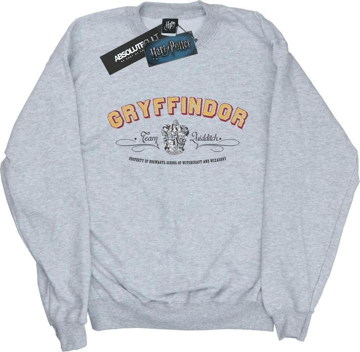 Gryffindor Team Quidditch Sweatshirt Jungen