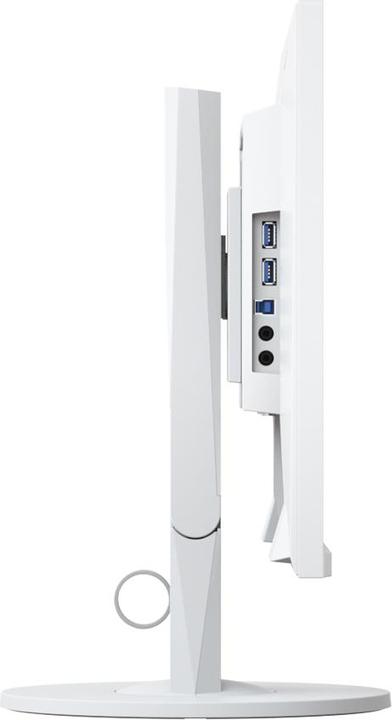 Actual product image Eizo Ev2450 (1920 x 1080 pixels, 24")