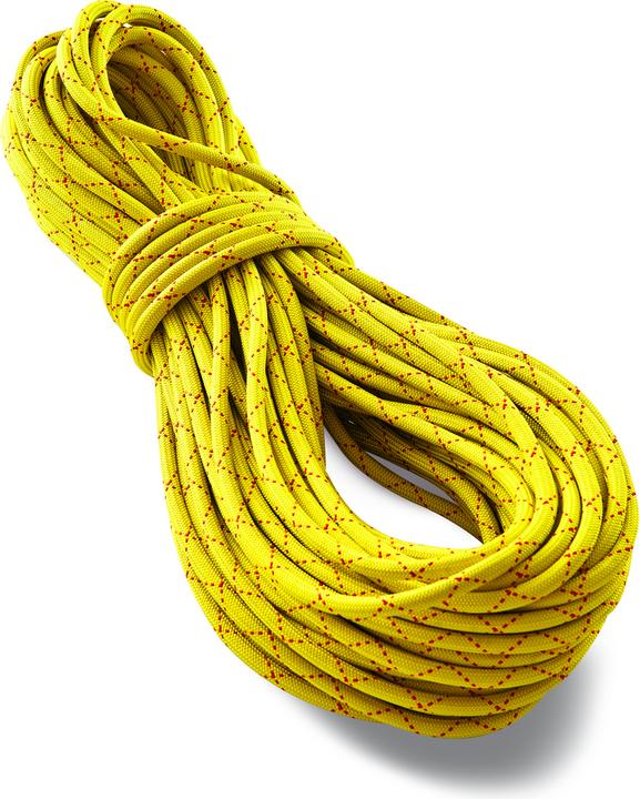 Image du produit Tendon Corde statique SALAMANDER 102 (30 m)