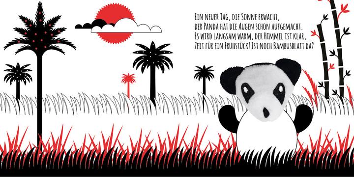 Actual product image Contrast Book for Babies Look, Little Panda (German)