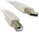 Productafbeelding equip USB 2.0 (5 m, USB 2.0)