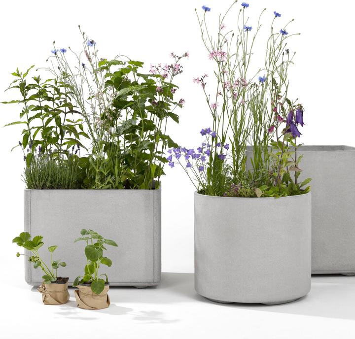 Actual product image Eternit Delta (55 cm)