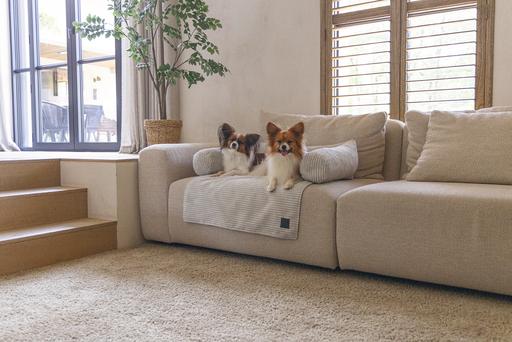 Actual product image Designed by Lotte Couch cushion Ribbed (Dog)